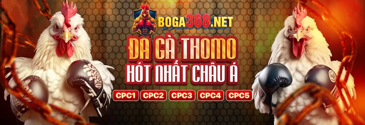 Đá gà trực tuyến 79win Nổ Hũ